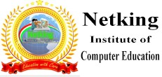 Netking